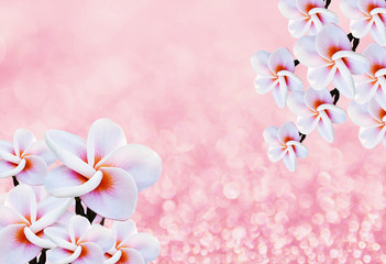 romantic pink flower background