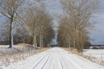 Fototapeta na wymiar Frosty morning, the beginning of winter. 