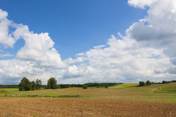  Rural landscape. Space for text.