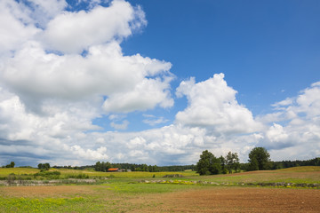 Agricultural landscape, blue sky on the horizon.
