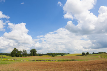 Agricultural landscape, blue sky on the horizon, beautiful weather.