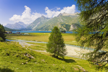 Fototapeta na wymiar Walking around Sils lake in the upper Engadine Valley (Switzerland)