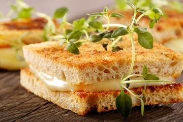 Fresh toast with cheese and herbs