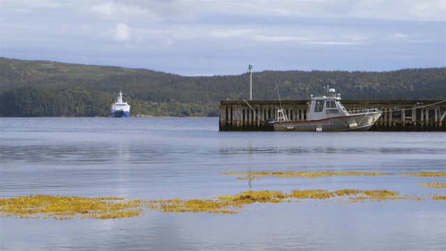 Cruise ship anchored in Conche, Newfoundland & Labrador.