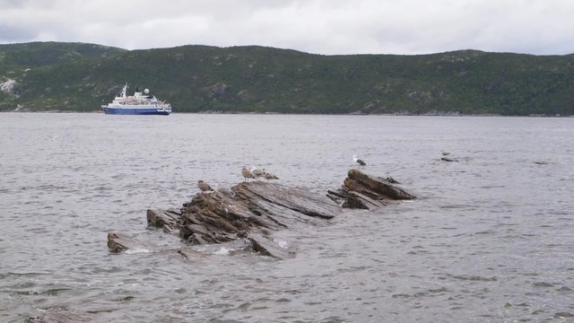 Anchored cruise ship, Conche, Newfoundland & Labrador.