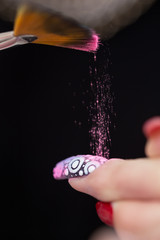 nail arts powder