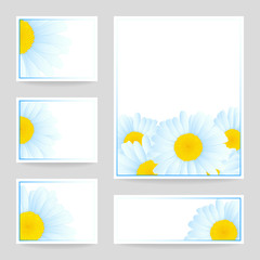 Vector daisies design.