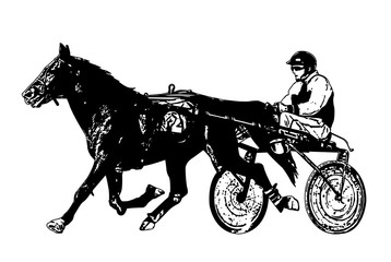 harness racing illustration - vector 