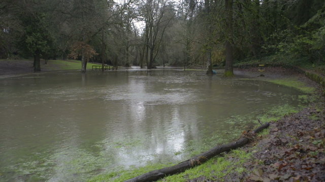 Hess Creek flooding in Herbert Hoover park in December 2015 at Herbert Hoover Park in Newberg, Oregon.