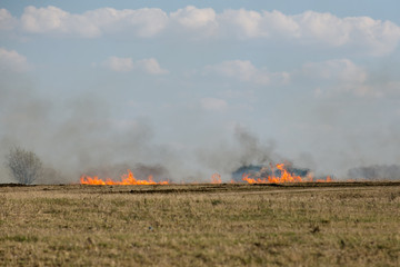 Fototapeta na wymiar burning grass in the field