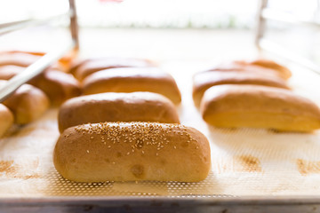 Sesame buns