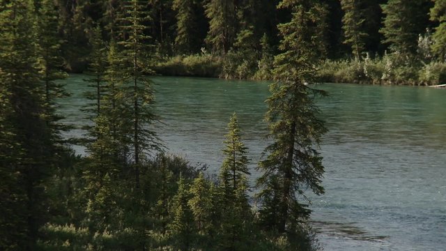 Creek flowing through Bugaboo park, British Columbia.