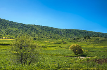 Iraqi landscape in spring season near Erbil city