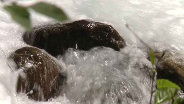 Stream flowing through Bugaboo Provincial Park.