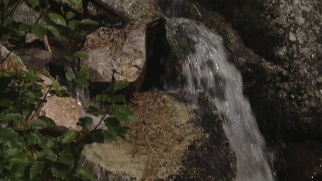 Stream flowing through Bugaboo Provincial Park. Tilt