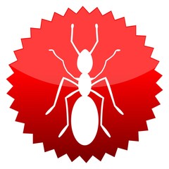 Red sun sign ant