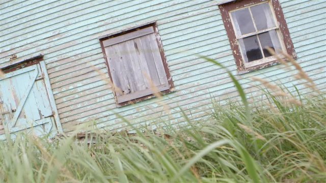 Old house seen through tall grass. Slow Motion