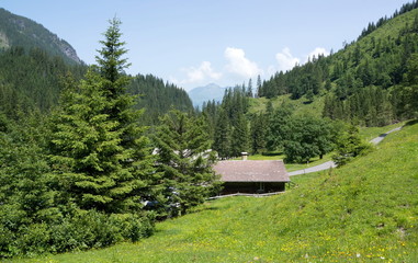 Fototapeta na wymiar Rural lodge in the Swiss Alps