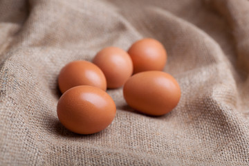 Fresh eggs scattered on sacking