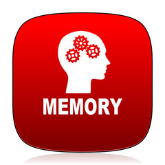 memory icon