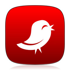 twitter icon