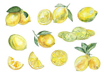 Watercolor painting. Vintage set of lemons. - 98651855