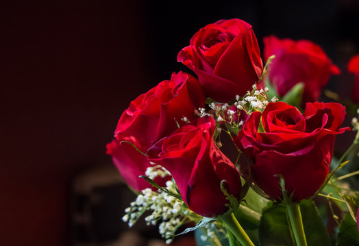 Arrangement of red roses with dark background