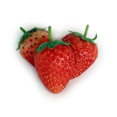Fresh red ripe strawberries isolated