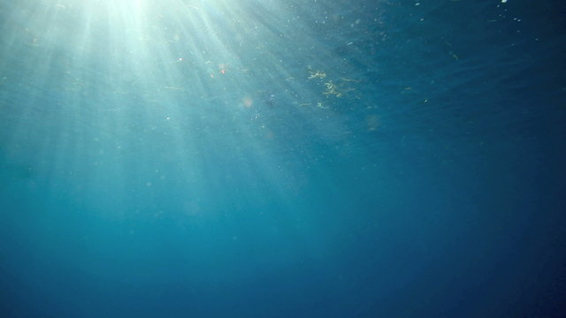 Blue ocean underwater surface with rays of light