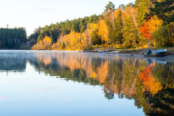Shoreline Reflection