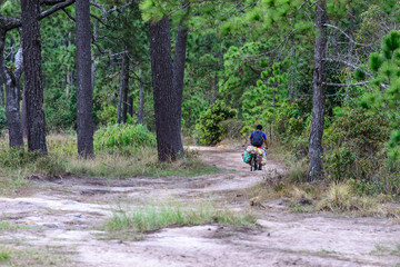 Obraz premium Cycling delivery service at travel place on mountain top of national park.