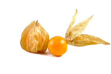 Cape gooseberry isolated on white background