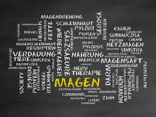 Magen