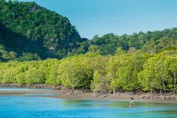 Fishing boats in sea and mangrove forest of Thailand
