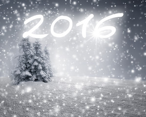 Silvester 2016