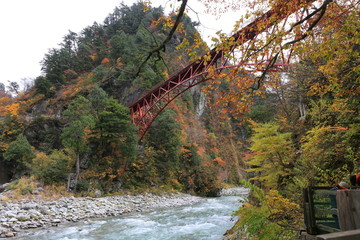 黒部峡谷の紅葉
