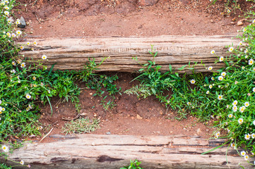 staircase made with wooden steps in a park