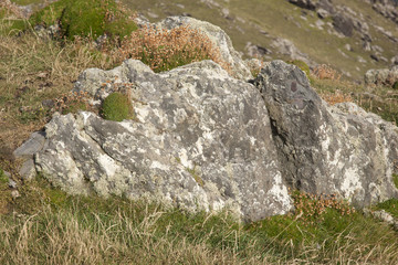 Fototapeta na wymiar Rock on Slea Head, Dingle Peninsula, Ireland