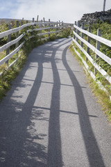 Pathway with Wooden Fence, Ireland