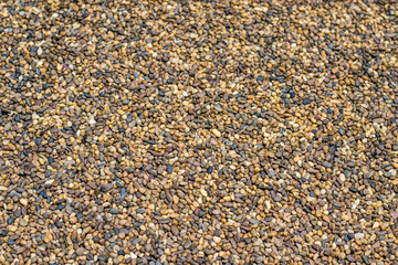 Gravel