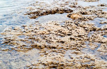 Clay indented coastal wave