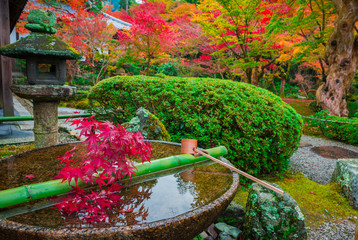京都　圓光寺の紅葉