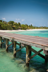 Wooden pier leads to a tropical island in the Maldives
