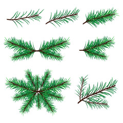 Vector illustration of tree branches