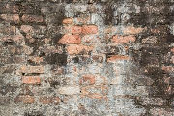 Old brick wall in a background image