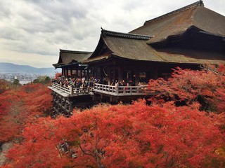kiyomizu temple,kyoto