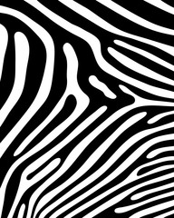 Black print pattern, skin of zebra, vector 