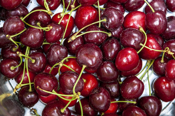 Freshly Picked Cherries