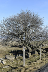 paysages d'aubrac lozère aveyron