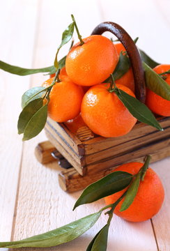 Tangerines in basket